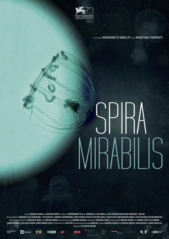 Spira Mirabilis Poster low res PANArt Hangbau AG